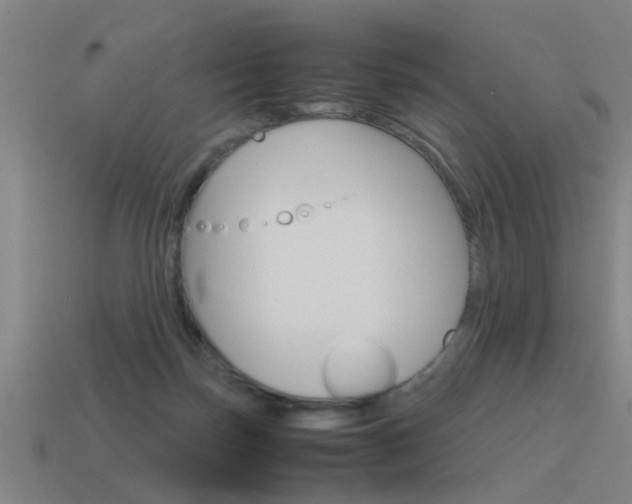 X0000115640171200911101103