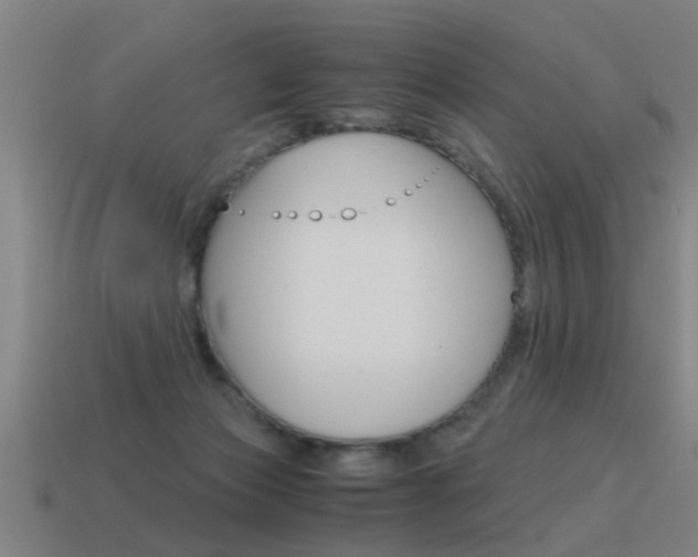 X0000115640173200911101103