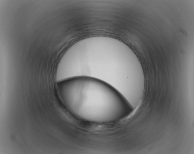 X0000115640174200911101103