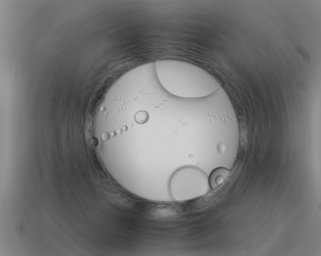 X0000115640175200911101103
