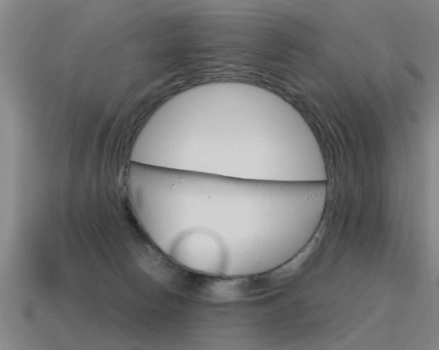 X0000115640178200911101103