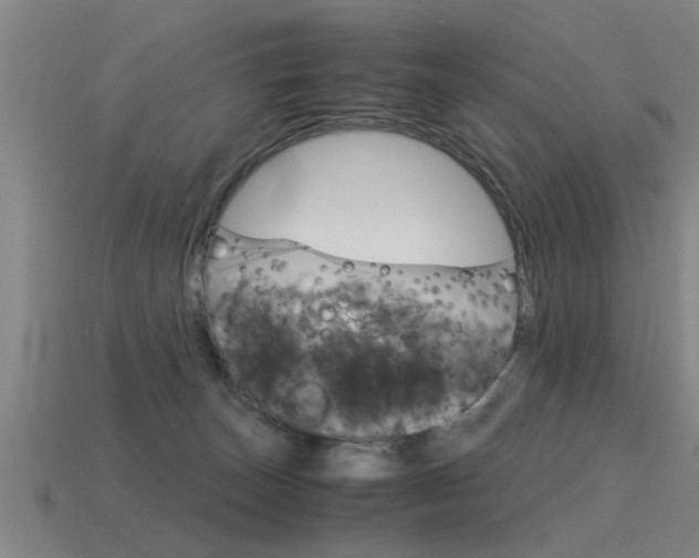 X0000115640179200911101103
