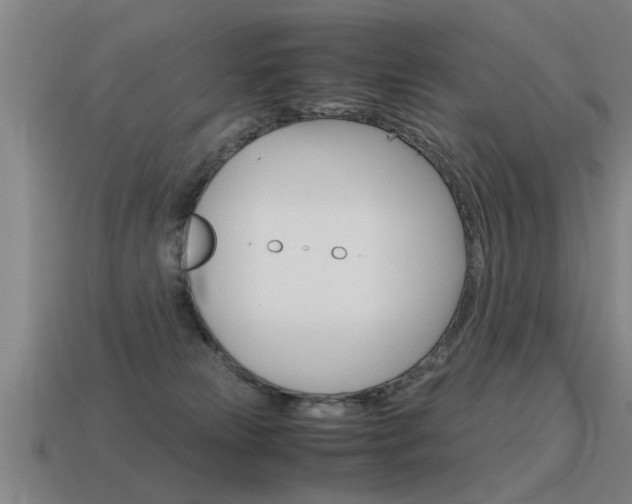 X0000115640181200911101103