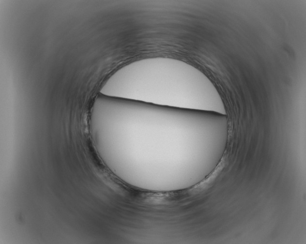 X0000115640182200911101103