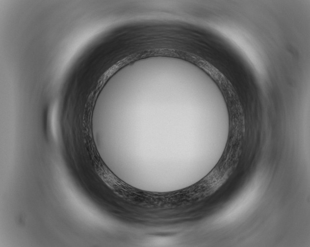 X0000115640189200911101104