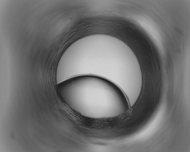 X0000115640190200911101104