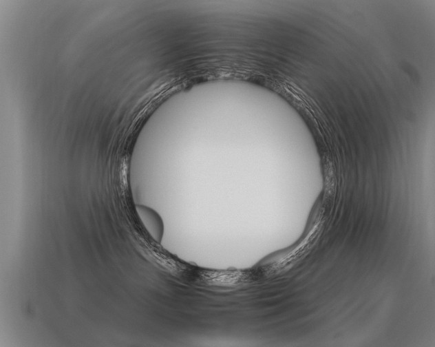 X0000115640191200911101104