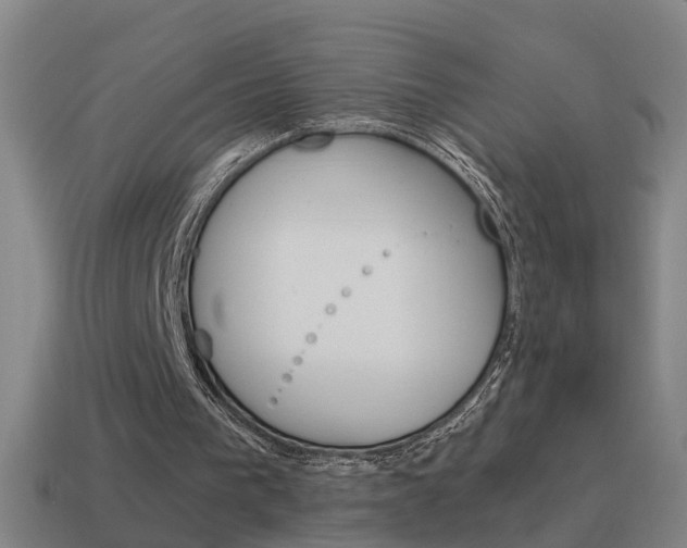 X0000115640193200911101103