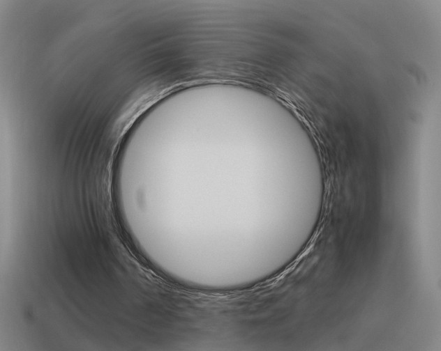 X0000115640194200911101103
