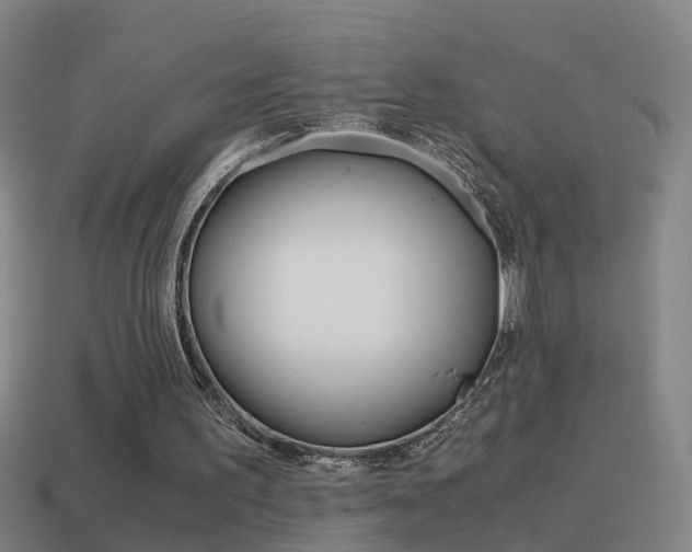 X0000115640195200911101103