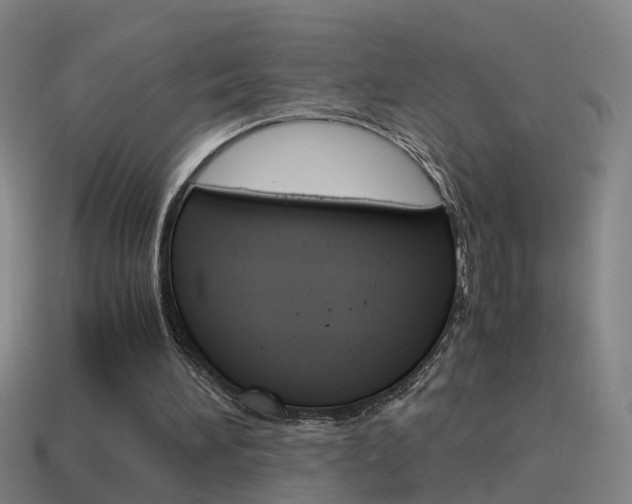 X0000115640196200911101103