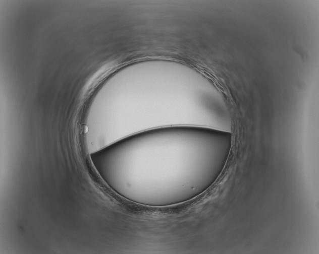 X0000115640197200911101103