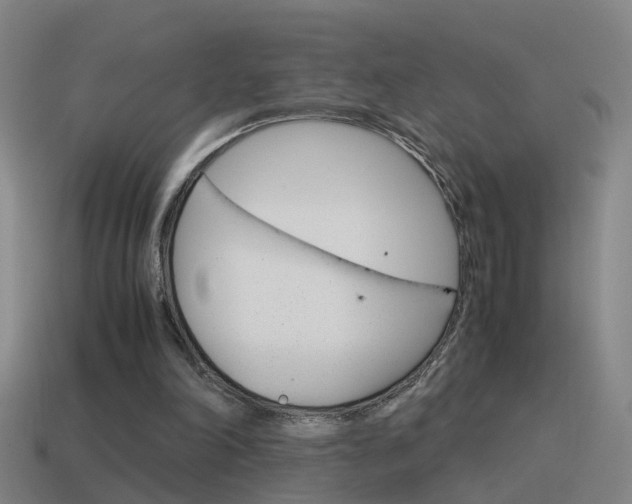 X0000115640198200911101103