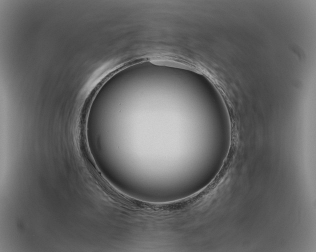 X0000115640199200911101103