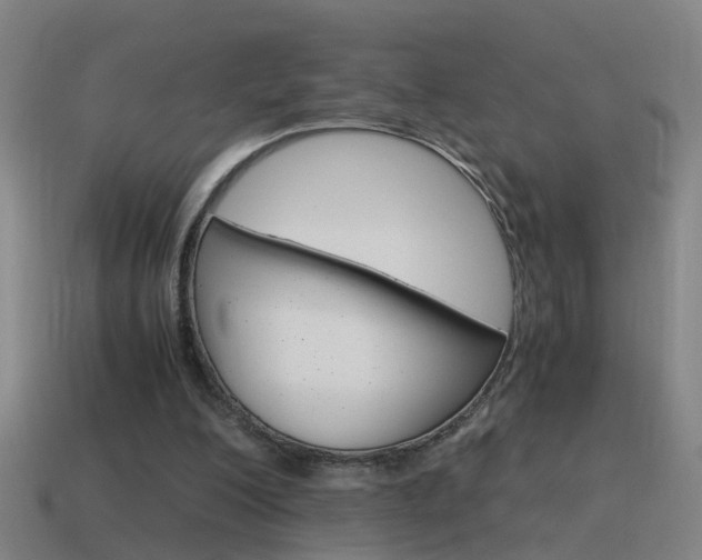 X0000115640200200911101103