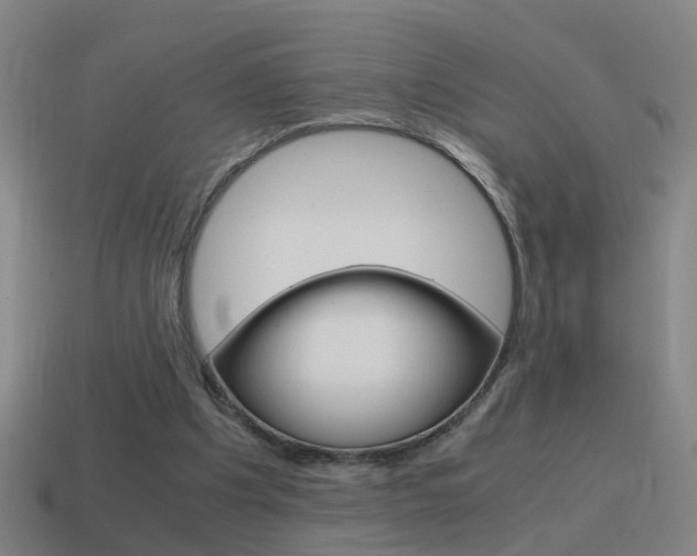 X0000115640201200911101103