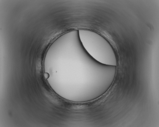X0000115640202200911101103