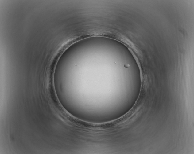X0000115640203200911101103