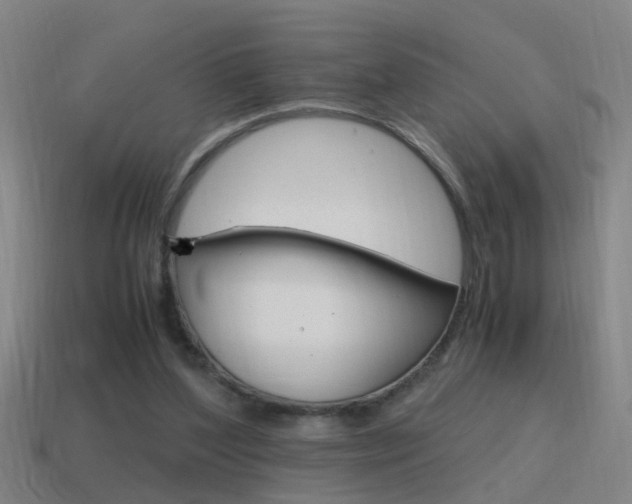 X0000115640204200911101103
