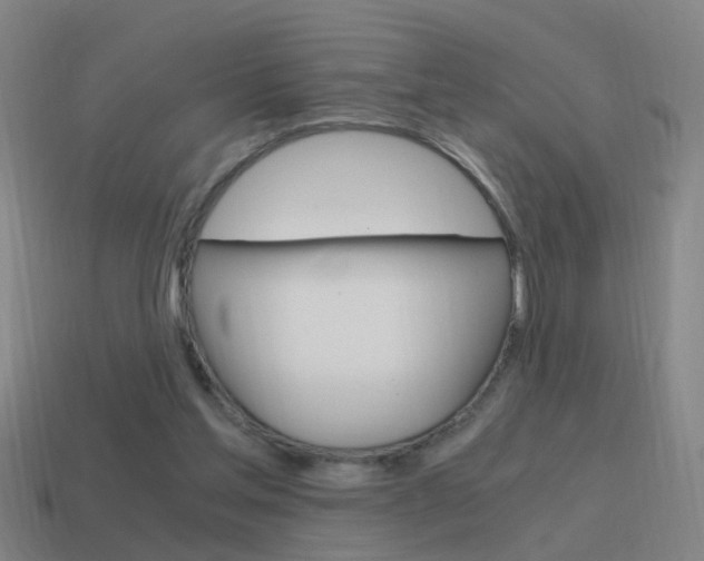 X0000115640205200911101103