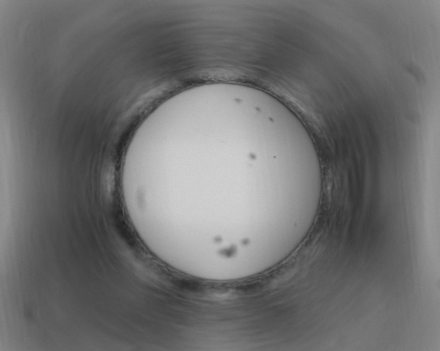 X0000115640206200911101103
