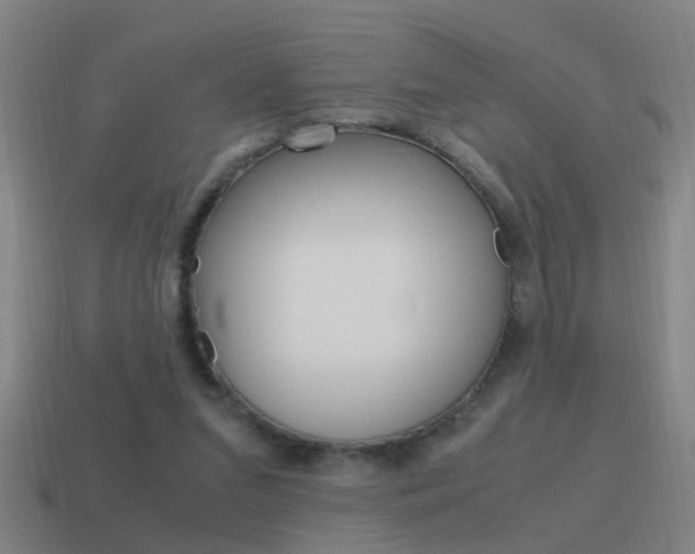 X0000115640207200911101103