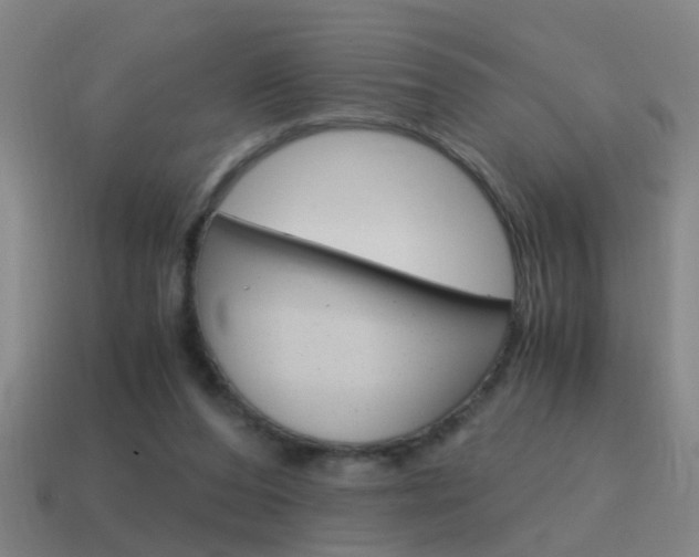 X0000115640208200911101103
