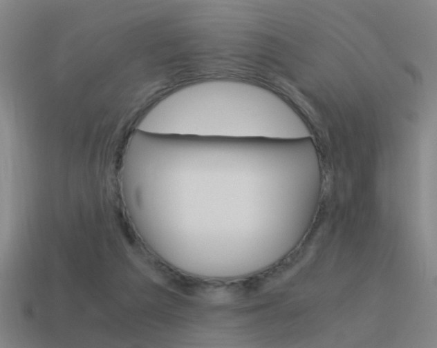 X0000115640209200911101103