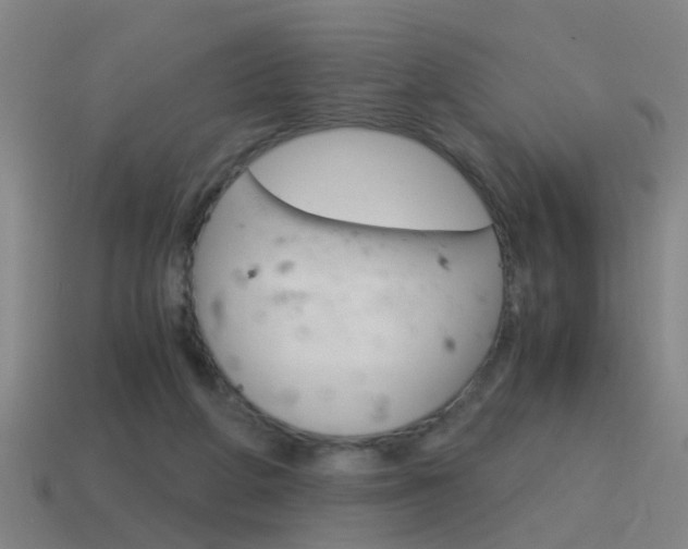 X0000115640210200911101103