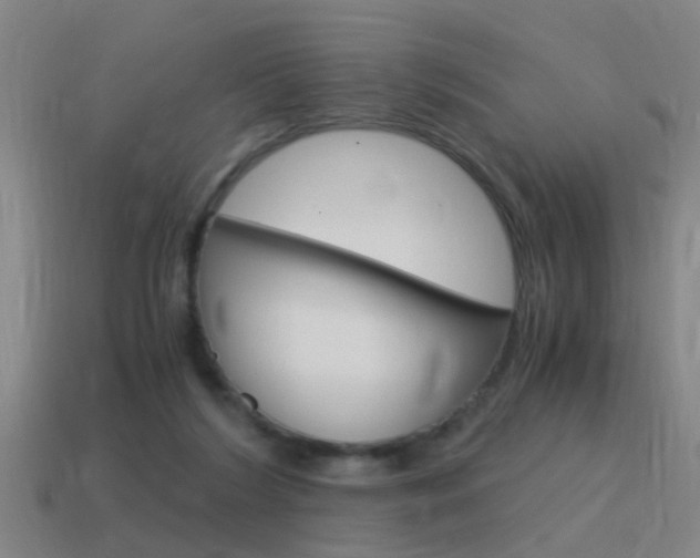 X0000115640212200911101103