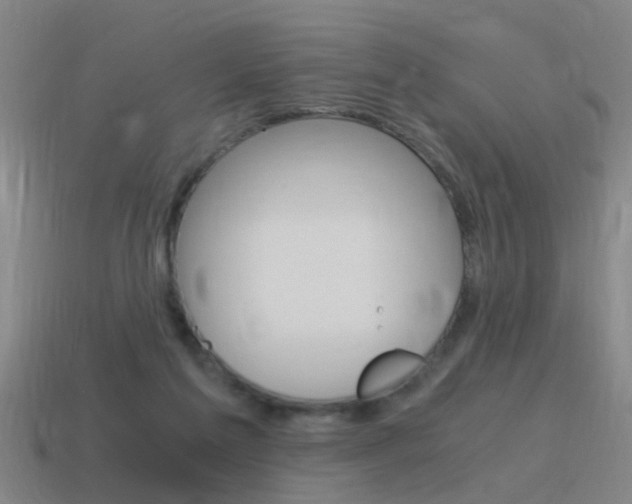 X0000115640213200911101103
