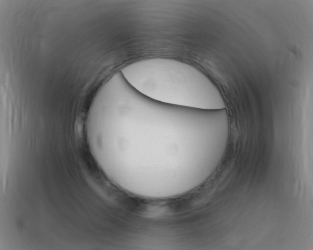 X0000115640214200911101103