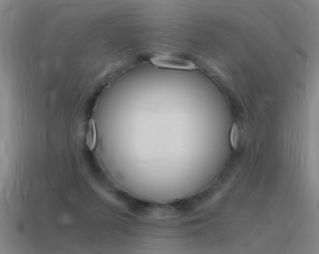 X0000115640215200911101103