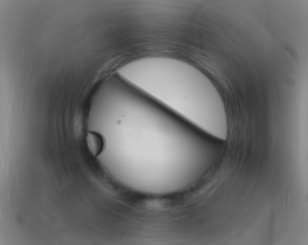 X0000115640216200911101103