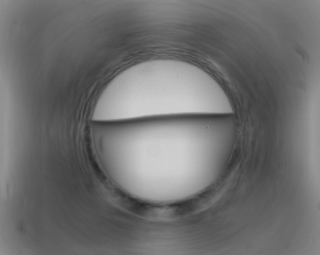 X0000115640217200911101103