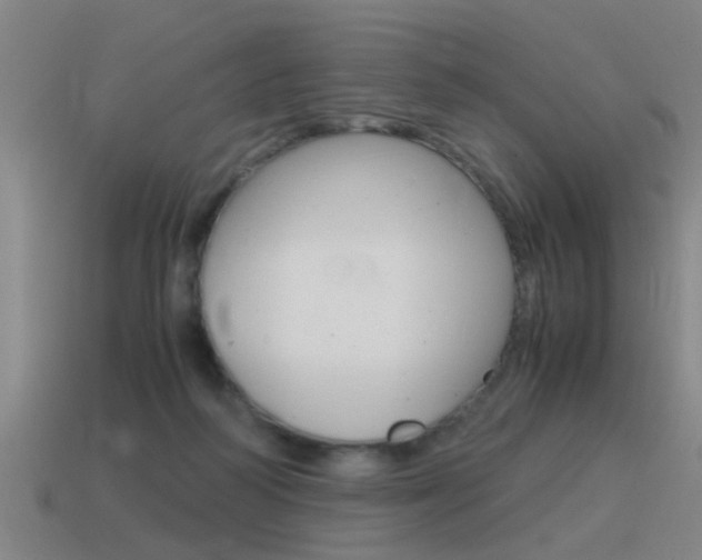 X0000115640218200911101103