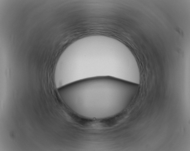 X0000115640219200911101103