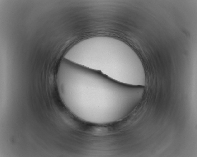 X0000115640220200911101103