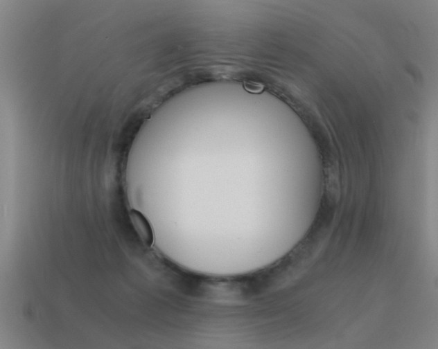 X0000115640221200911101103