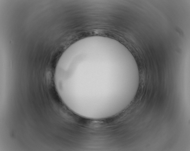 X0000115640222200911101103