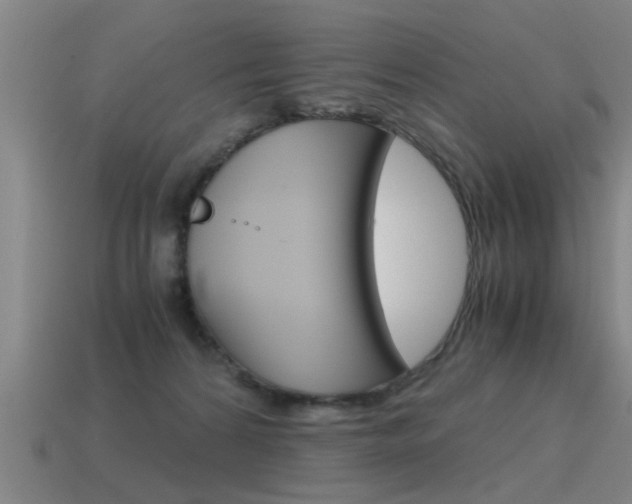 X0000115640224200911101103