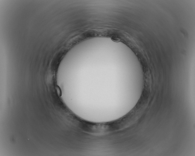 X0000115640225200911101103