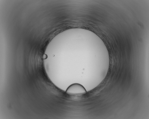 X0000115640226200911101103