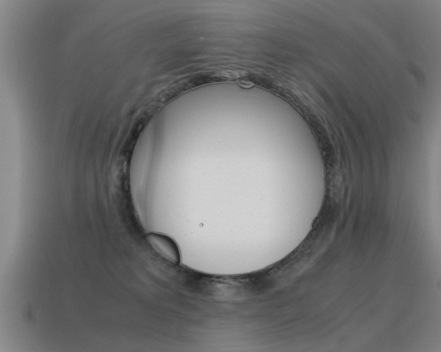 X0000115640229200911101103