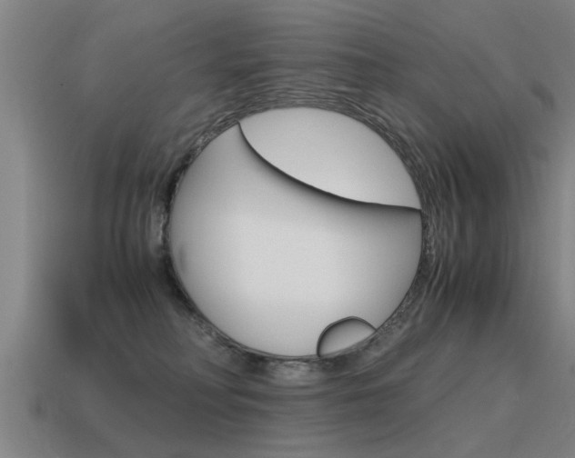 X0000115640230200911101103