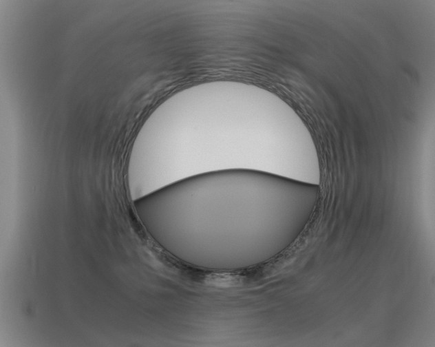 X0000115640231200911101102