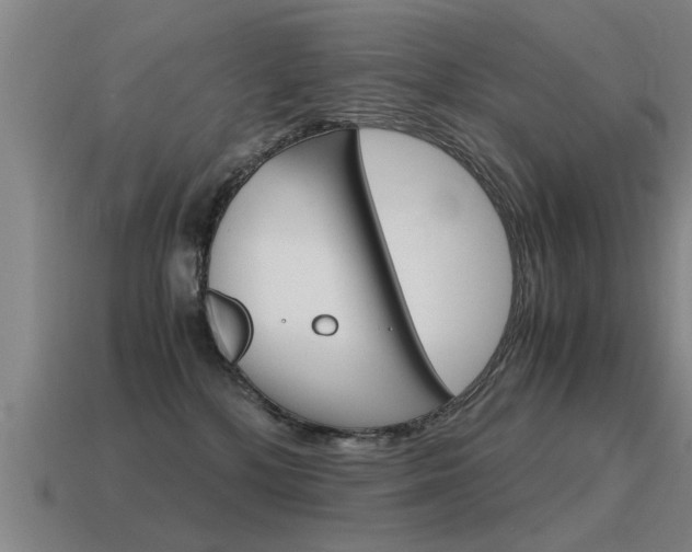 X0000115640232200911101102