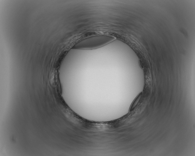 X0000115640233200911101102