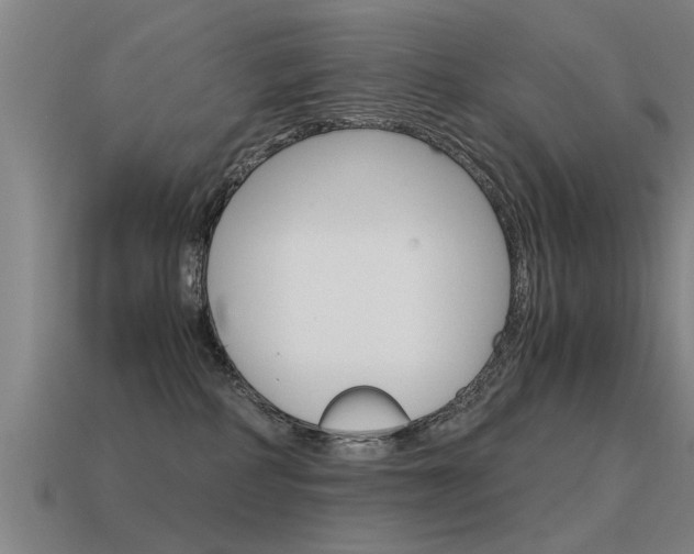 X0000115640234200911101102