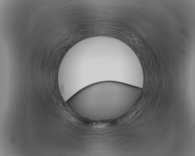 X0000115640235200911101102